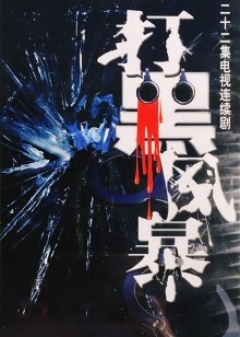 打黑风暴