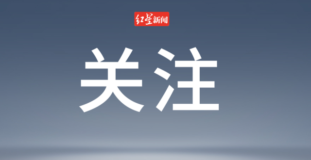 团伙伪装线上盲盒App开设赌场，两年敛财逾6亿元，桐乡检察院办结特大网络赌博案：多名核心人员主动投案，54名涉案人员分层处置