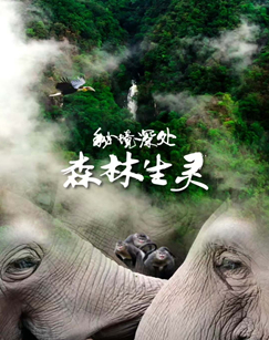 秘境深处