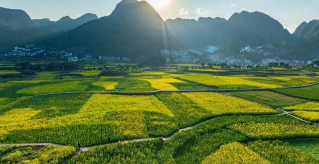 央视关注贵州兴义：千亩油菜花盛放万峰林_腾讯新闻