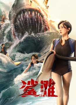 鲨滩2025封面图