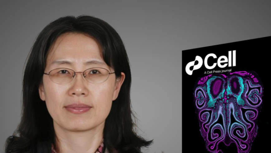 《自然》：不用打针了！模仿乌贼喷墨，MIT科学家开发喷药胶囊，有望革新药物递送方式_腾讯新闻