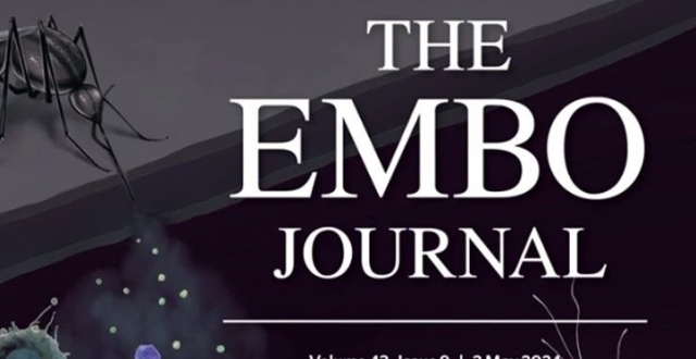 清华大学程功教授团队EMBO J 封面论文揭示蚊虫唾液蛋白辅助蚊媒病毒传播的新机制_腾讯新闻