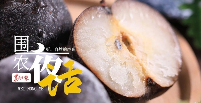 围农夜话丨我在南方吃冻梨_腾讯新闻