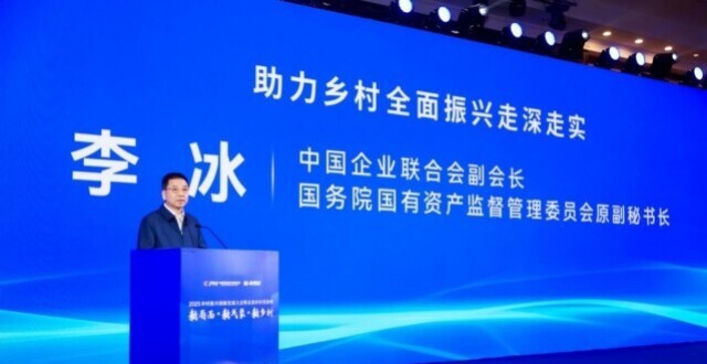 李冰：助力乡村全面振兴走深走实_腾讯新闻