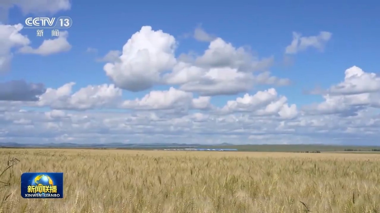 各地加强田管 夯实秋粮稳产基础_腾讯新闻