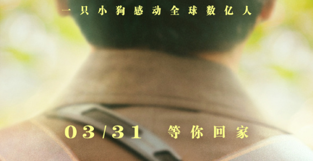 中国版《忠犬八公》电影公布全新海报及特辑，3月31 日上映_腾讯新闻
