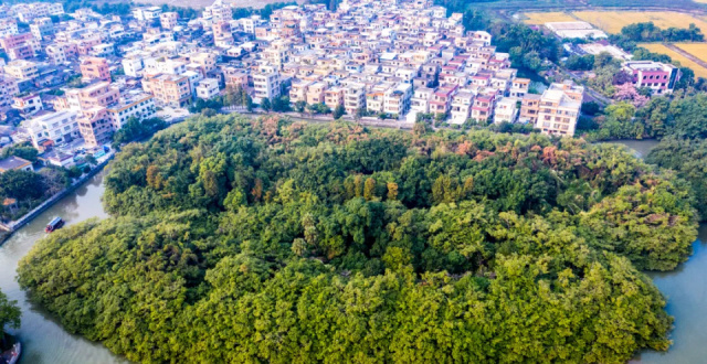 广东最先“入秋”的城市，太香了_腾讯新闻