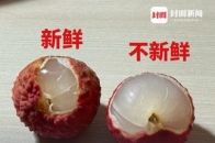 你吃的荔枝是“死的”还是“活的”？原来新鲜荔枝果肉是透明状的，北方网友天塌了：只吃过乳白色的！专家：口感有别，营养没差_腾讯新闻