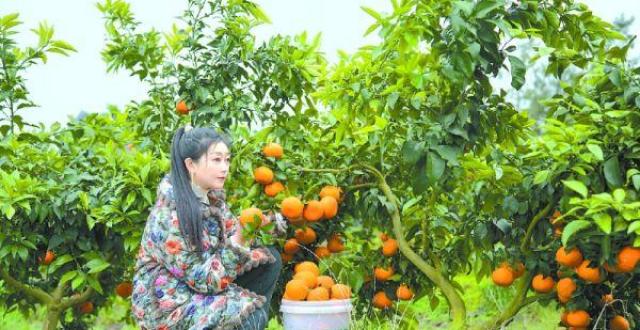 乡村行 看振兴_腾讯新闻