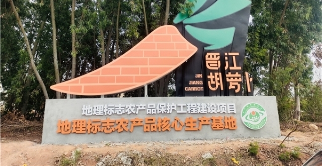 福建晋江：创意IP形象赋能 助力胡萝卜品牌打造_腾讯新闻