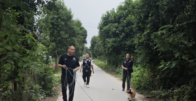寻踪犬、电子鼻……猫狗找回用上“秘密武器” 不到2小时找回丢失宠物_腾讯新闻