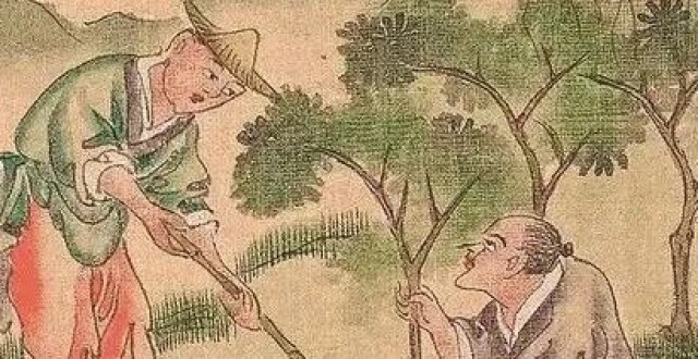 皇帝种树也蛮“拼”｜逸闻_腾讯新闻
