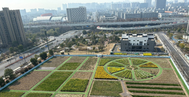 闲置空地变“宝地” 掀起农耕研学热_腾讯新闻