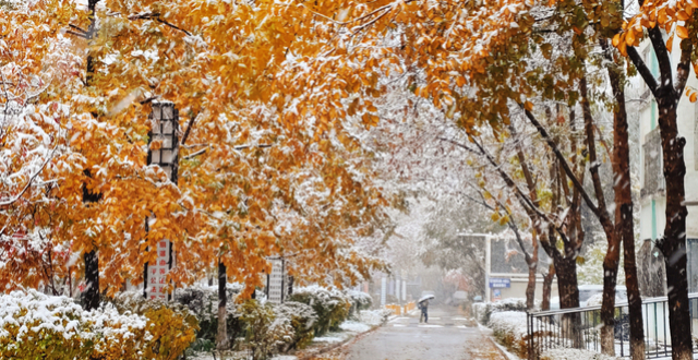 乌鲁木齐迎来初雪