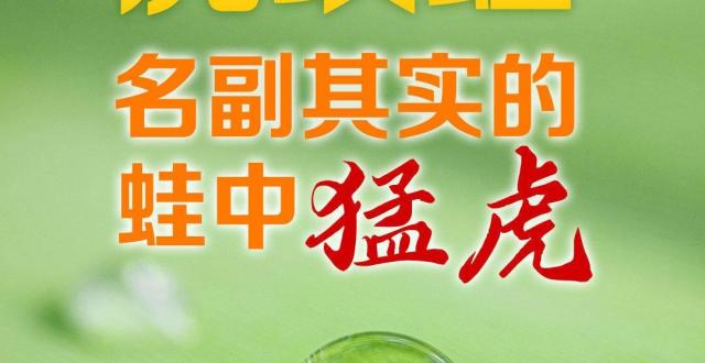 “神奇物种”在江苏｜虎纹蛙，名副其实的蛙中猛虎_腾讯新闻