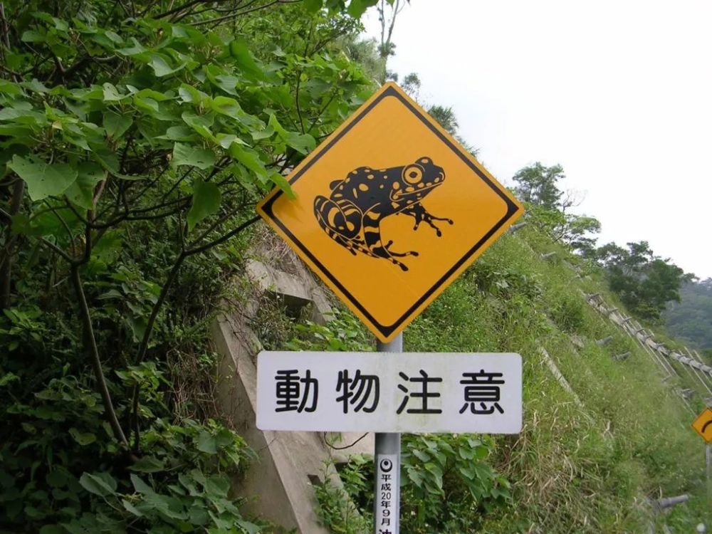 为什么日本人把绿灯叫做 蓝灯 说说日本那些特殊的交通标志 腾讯新闻