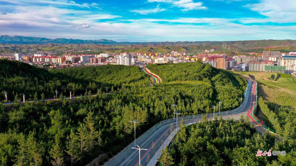合作市伊合昂街道录豆囊村录豆昂面山绿化基地.