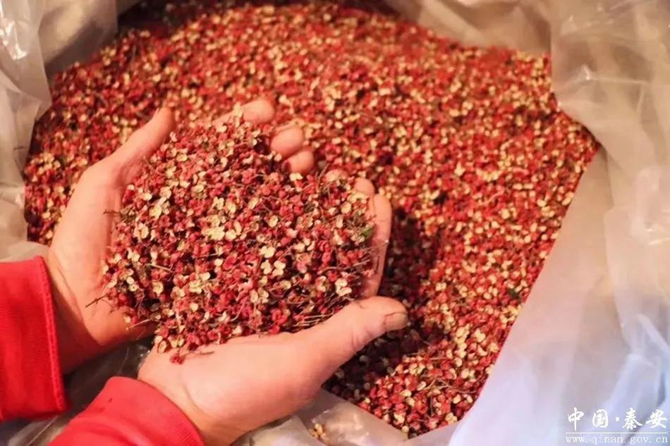 【甘快看】秦安:大红袍花椒点燃舌尖上的"热辣"_腾讯新闻