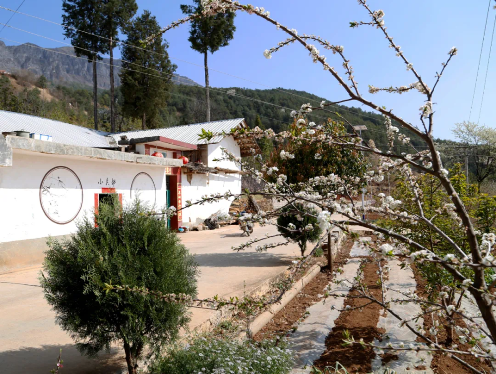 有一种叫云南的生活|巧家:以农促旅 以旅兴农 打造"农旅融合"新样本