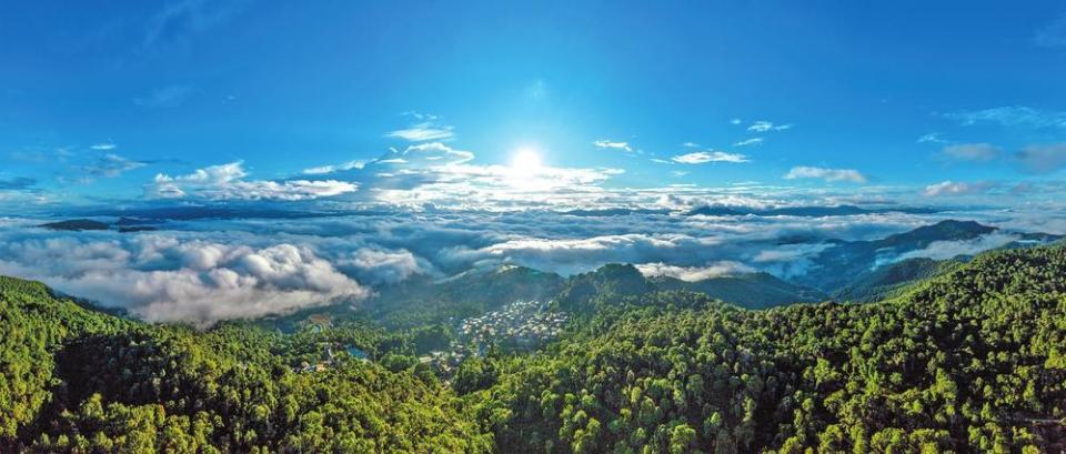 保护多样生物 共建美丽云南