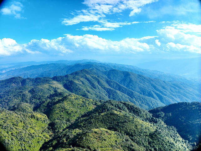 国际生物多样性日|凤庆:越来越好的生态环境引来越来