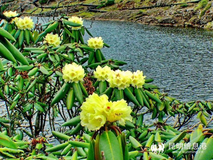 野趣与运动交织!昆明禄劝轿子山"玩法"不断上新