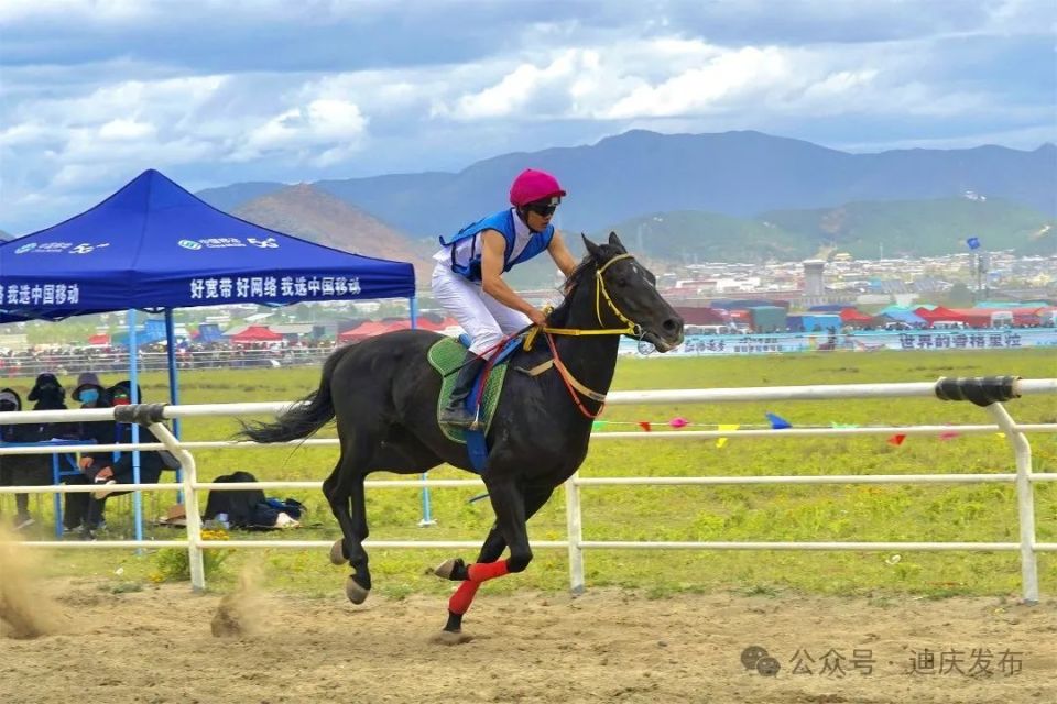 【网络中国节·端午】【我们的节日61端午】 | 香格里拉赛马会首赛