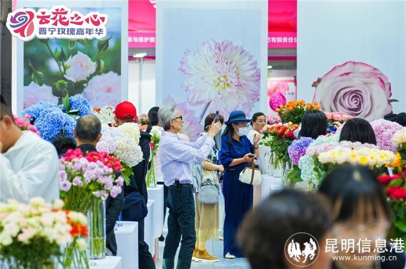 "云花之心61晋宁玫瑰嘉年华"7月11日启幕 共赏玫瑰盛宴