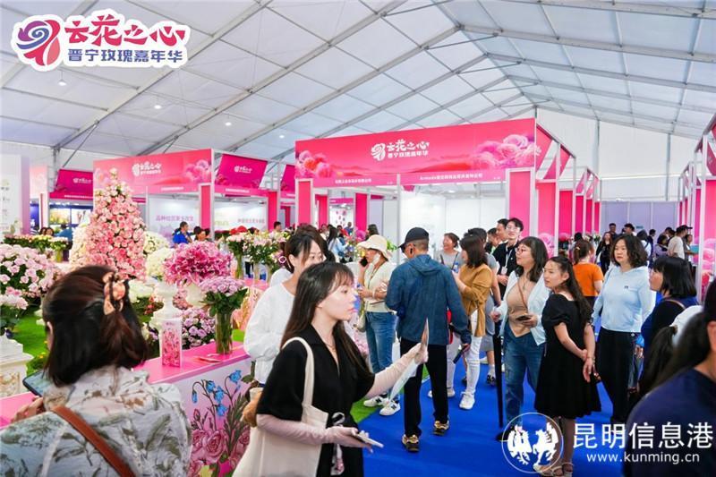 "云花之心61晋宁玫瑰嘉年华"7月11日启幕 共赏玫瑰盛宴