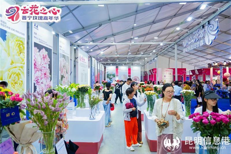 "云花之心61晋宁玫瑰嘉年华"7月11日启幕 共赏玫瑰盛宴