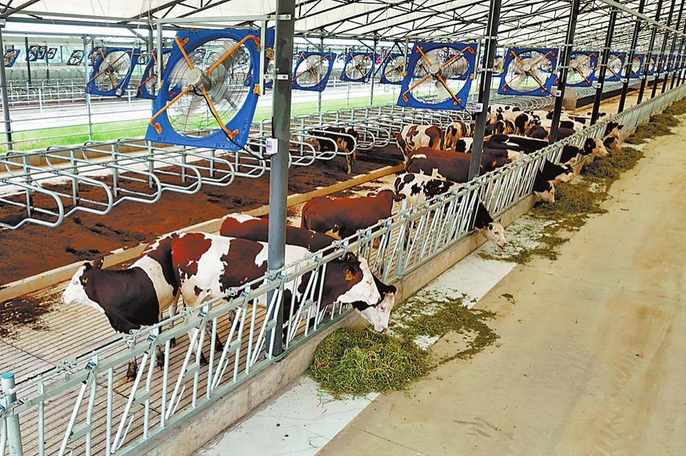 个旧市打造特色养殖基地