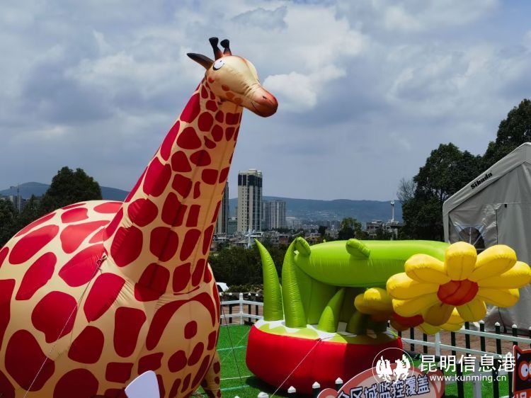 云南野生动物园多种玩法上新! 速来解锁一"夏"