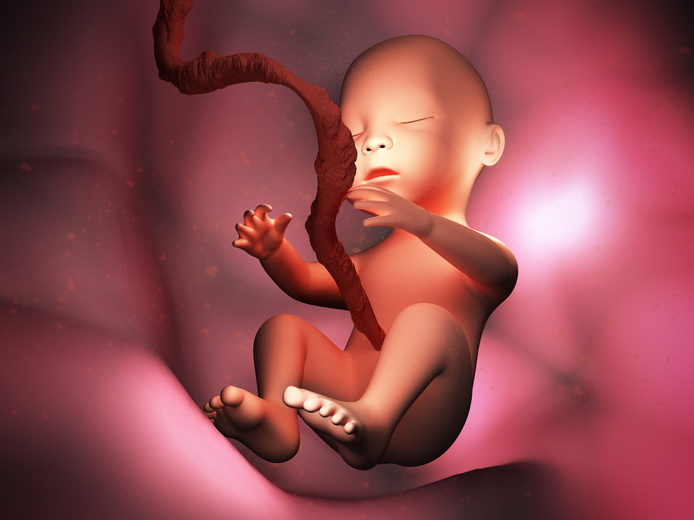 胎盘别扔!它记录了宝贵的健康信息